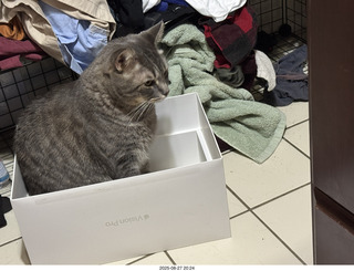 Anthony Junior and cat Potato