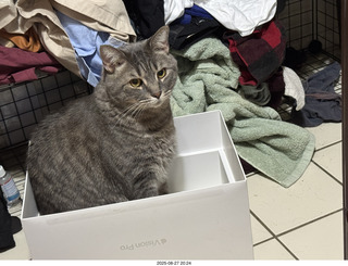 Anthony Junior and cat Potato