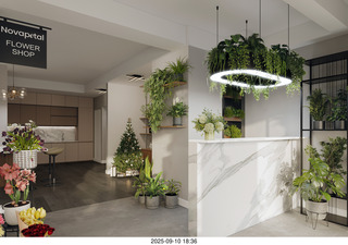 Midtown Manhattan - flower shop