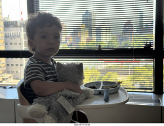 Midtown Manhattan - NovaPetal