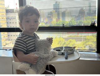 Midtown Manhattan apartment - Anthony Jr. and his toy cat