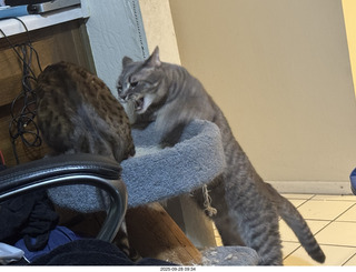 Midtown Manhattan - Intrepid Museum - propeller