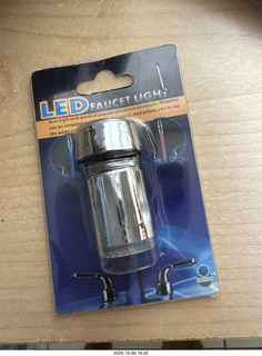 cats Potato and Pickle