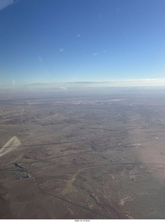 cats Potato and Pickle