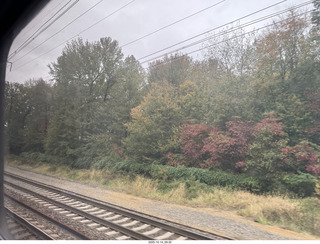 view from the train in Philadephia