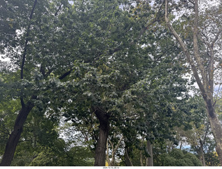 New York City - Russian restaurant - Anthony