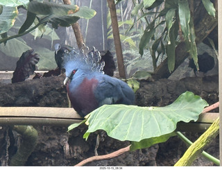 New York City - Central Park