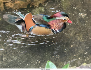 New York City - Central Park