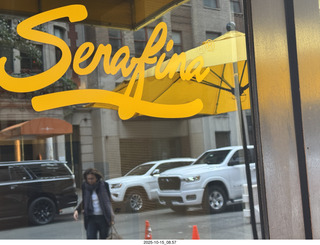 New York City - Central Park Zoo - bird