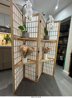 New York City - Novapetal