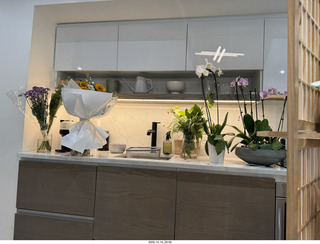 New York City - Novapetal