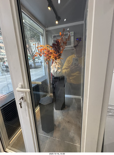 New York City - Novapetal - Anthony