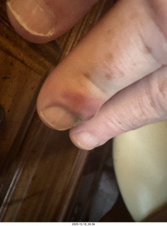 New York City - Empire State Building + Adam