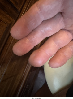 Cheltenham High School - Lisa Fetter, Brynn Johnson, and Adam