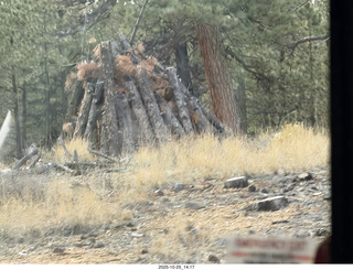 89 a2n. Bryce Canyon National Park wood gathering