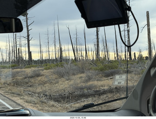 134 a2n. Bryce Canyon National Park burnt trees