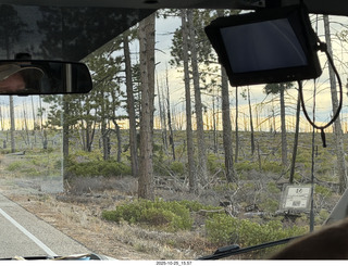 145 a2n. Bryce Canyon National Park burnt trees