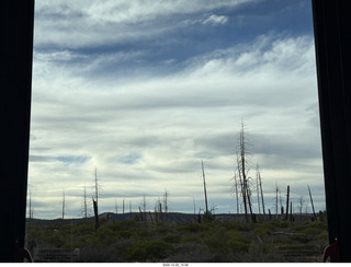150 a2n. Bryce Canyon National Park burnt trees