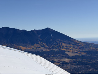 202 a2n. TF - leaves turning on Humphrey's Peak
