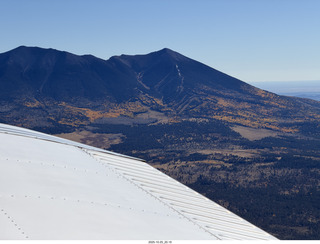 203 a2n. TF - leaves turning on Humphrey's Peak