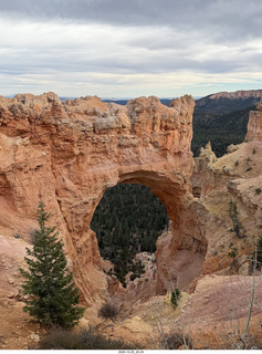 268 a2n. TF - Bryce Canyon National Park - Natural Bridge (actually an arch)