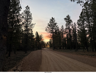 153 a2n. Bryce Canyon National Park sunrise along the road