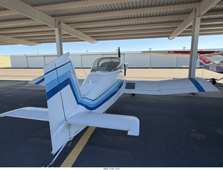 334 a2n. FFZ - my short-wing neighbor