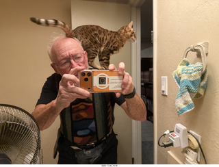 cat Pickle on my shoulder