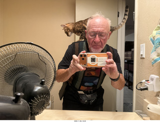 cat Pickle on my shoulder