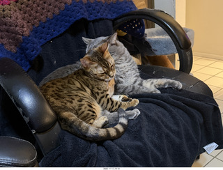 my pilot certificate