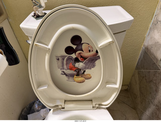 Saenz Thanksgiving - Mickey Mouse bathroom