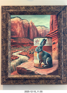 35 a2q. Marble Canyon jack rabbit picture