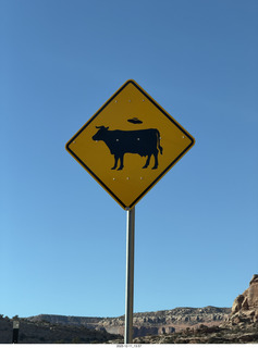 313 a2q. Utah Route 313 - cow sign with flying saucer UFO