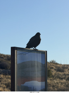 414 a2q. Utah - Canyonlands National Park - Mesa Arch hike sign - raven