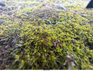 458 a2q. Utah - Canyonlands National Park