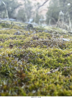 464 a2q. Utah - Canyonlands National Park