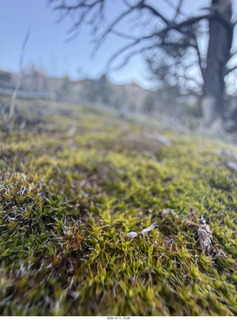 467 a2q. Utah - Canyonlands National Park