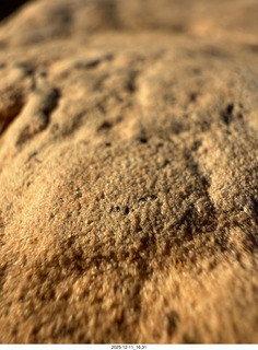 484 a2q. Utah - Canyonlands National Park