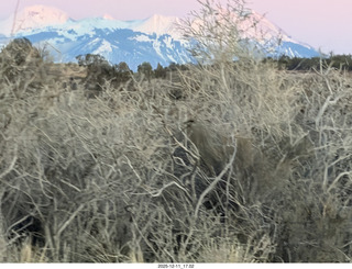 533 a2q. Utah - drive from canyonlands to moab - LaSalle Mountains