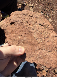 234 a2q. Utah -  Mineral Canyon hike - close-up of rock