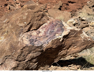 243 a2q. Utah -  Mineral Canyon hike - purple rock