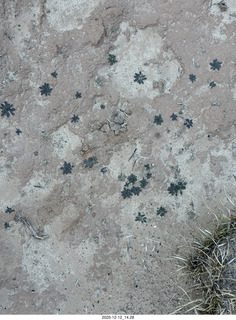 465 a2q. aerial - Utah - canyonlands