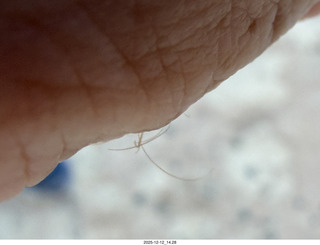 466 a2q. aerial - Utah - canyonlands