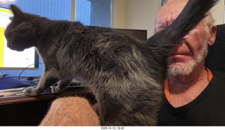 165 a2q. cat Devin and Adam