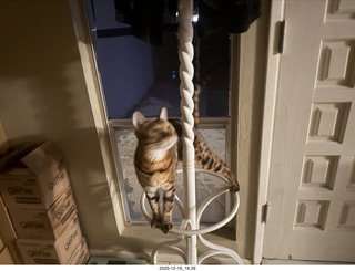 my iPhone image with top and bottom suppposedly created by my own computer1