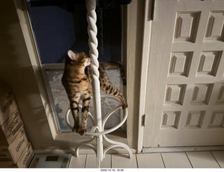 my iPhone image with top and bottom suppposedly created by my own computer1