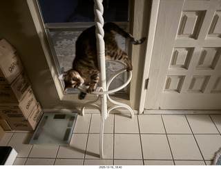 my iPhone image with top and bottom suppposedly created by my own computer1