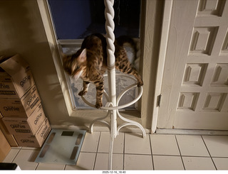 my iPhone image with top and bottom suppposedly created by my own computer1