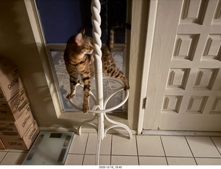 my iPhone image with top and bottom suppposedly created by my own computer1