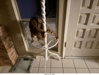 my iPhone image with top and bottom suppposedly created by my own computer1